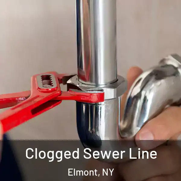 Clogged Sewer Line Elmont, NY