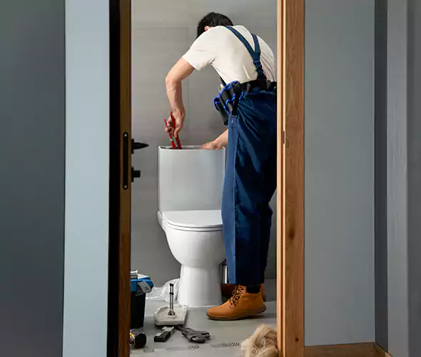 Professional Plumbers for Toilet Bowl Replacement in Elmont, NY: Schedule Affordable Toilet Replacement Services With Us