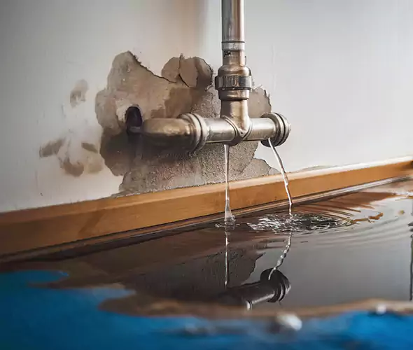 Professional Water Damage Restoration Experts in Elmont, NY — Fast, Reliable & Certified