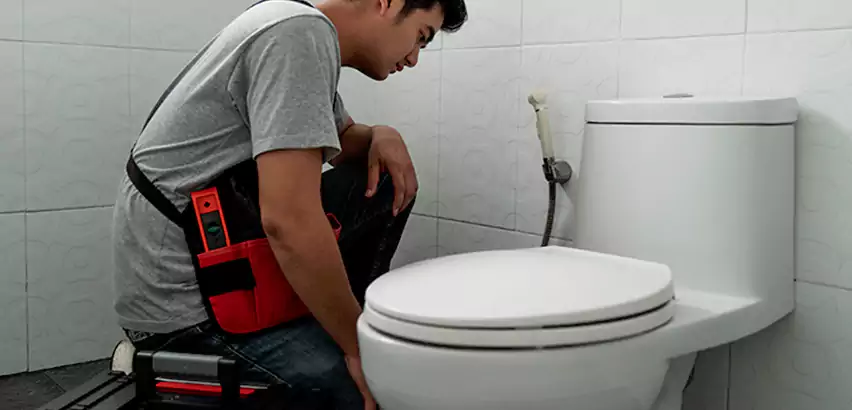 Toilet Repair in Elmont