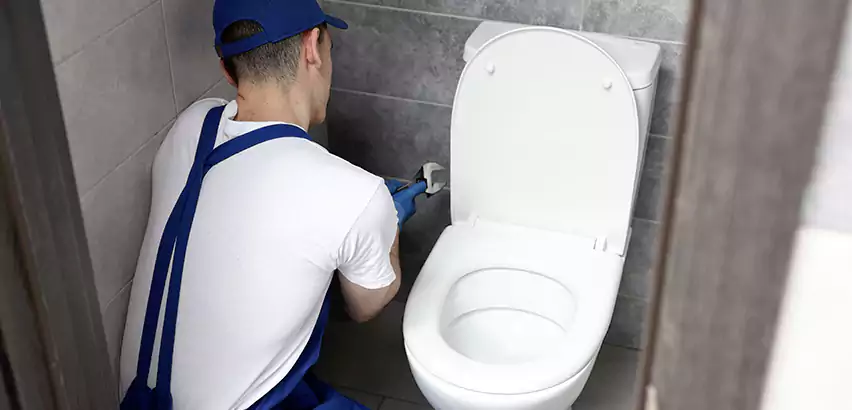 Toilet Lid Replacement in Elmont
