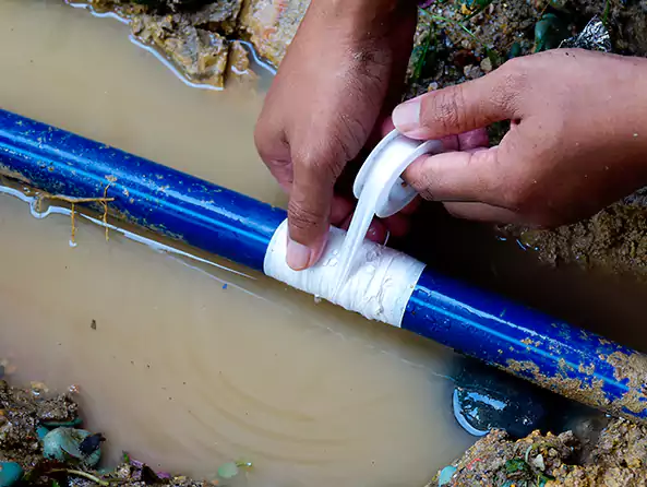  Why Choose Elmont Plumbing Repair for Leak Detection in Elmont, NY?]