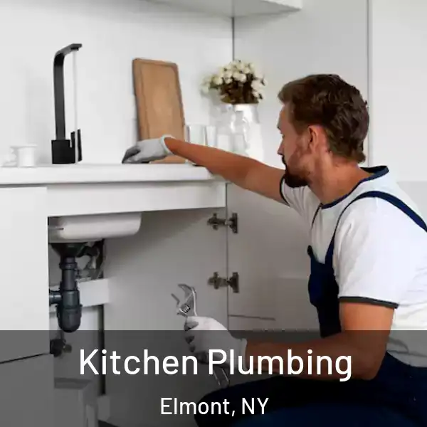  Kitchen Plumbing Elmont, NY