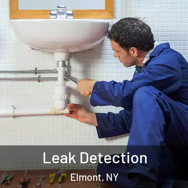  Leak Detection Elmont, NY