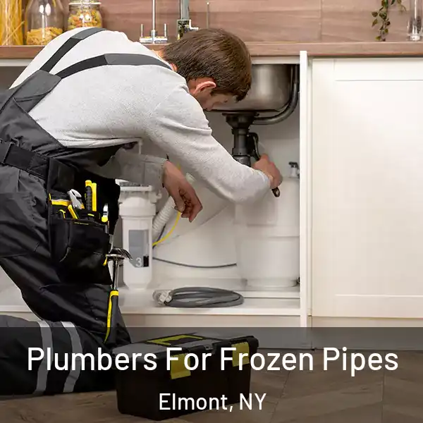  Plumbers For Frozen Pipes Elmont, NY