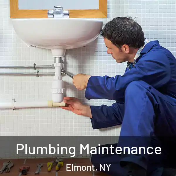 Plumbing Maintenance Elmont, NY