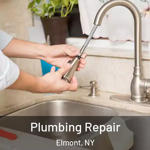  Plumbing Repair Elmont, NY