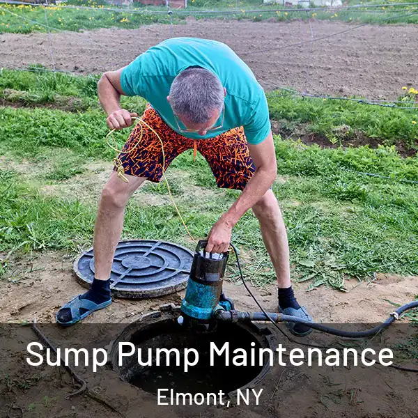  Sump Pump Maintenance Elmont, NY