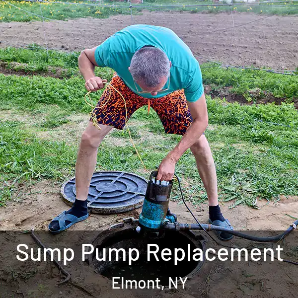  Sump Pump Replacement Elmont, NY