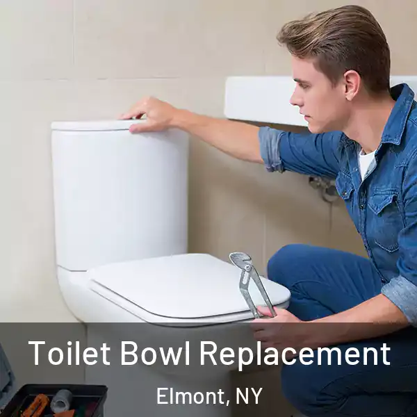  Toilet Bowl Replacement Elmont, NY