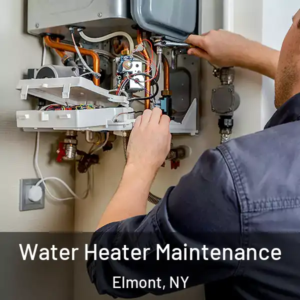  Water Heater Maintenance Elmont, NY
