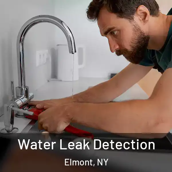  Water Leak Detection Elmont, NY