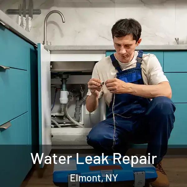 Water Leak Repair Elmont, NY